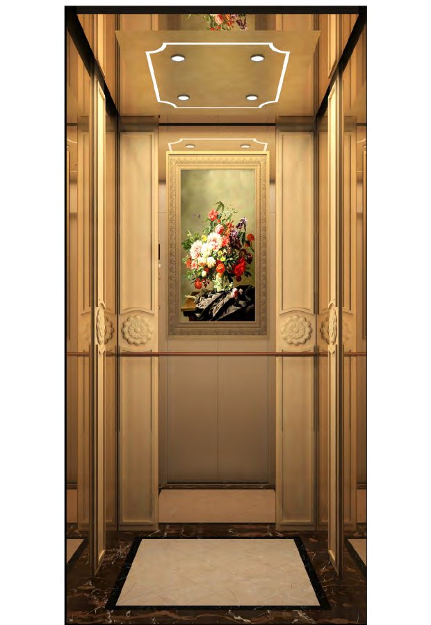FJ-B-J09 elevator cabin